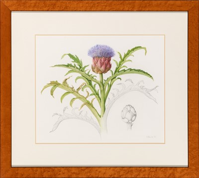 Lot 51 - Group of Seven Botanical and Bird Paintings