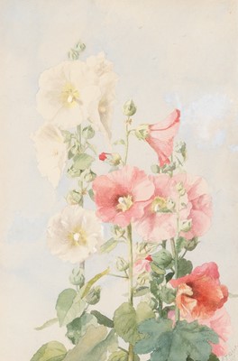 Lot 31 - Ellen Bowditch Thayer Fisher