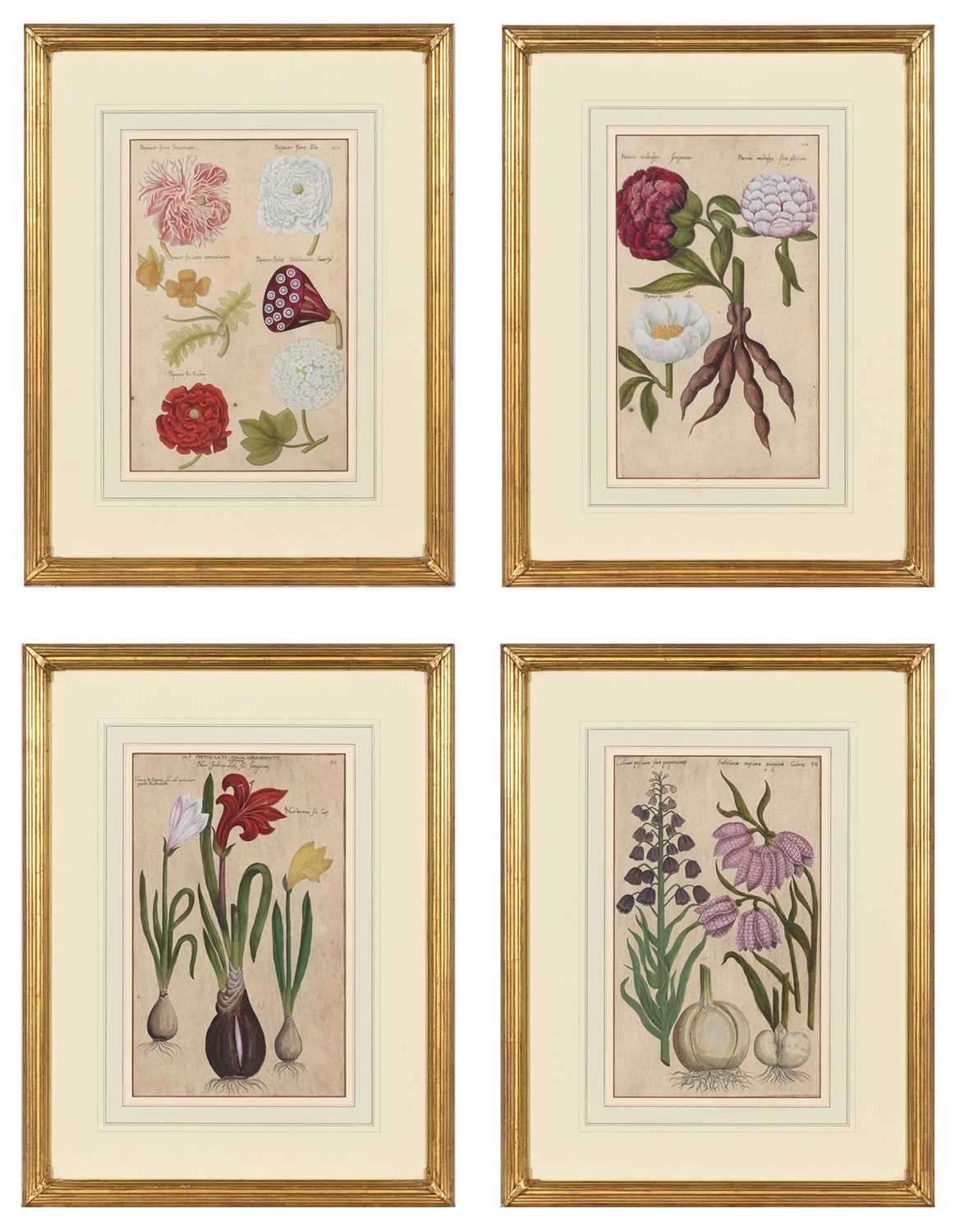 Lot 48 - Emanuel Sweert (1552-1612)