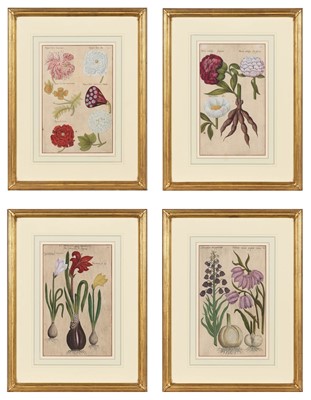 Lot 48 - Emanuel Sweert (1552-1612)