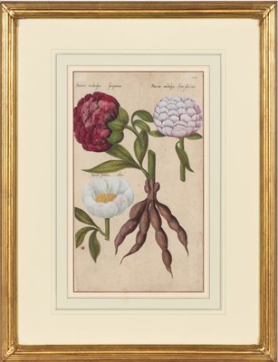 Lot 48 - Emanuel Sweert (1552-1612)