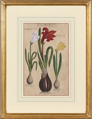 Lot 48 - Emanuel Sweert (1552-1612)
