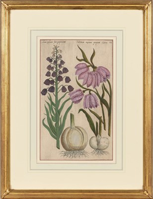 Lot 48 - Emanuel Sweert (1552-1612)