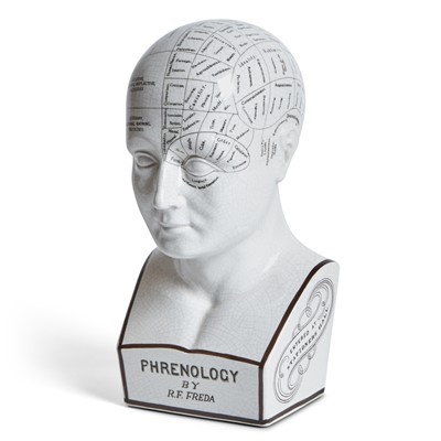 Lot 190 - Reproduction Ceramic Phrenology Bust