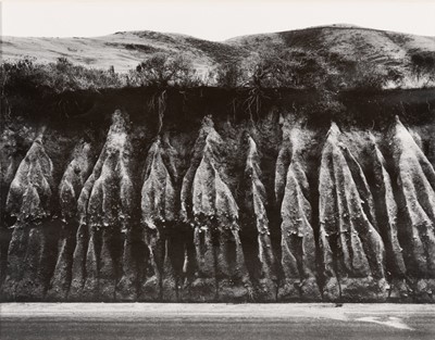 Lot 3041 - Two photographs by Wynn Bullock