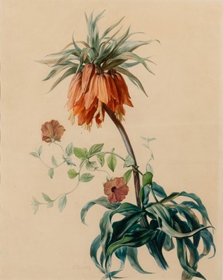Lot 64 - Simon Saint-Jean