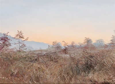 Lot 24 - Robert Hamblen