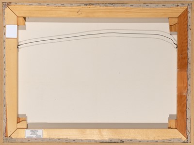 Lot 103 - Dang Xuan Hoa