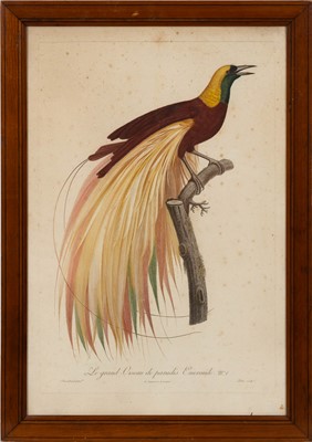 Lot 72 - After Jacques Barraband (1753-1824)