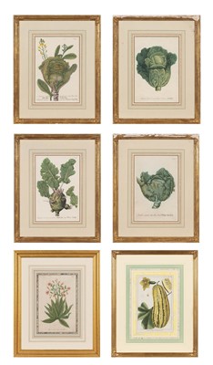 Lot 49 - After Johann Wilhelm Weinmann (1683-1741)