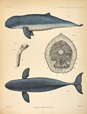 Lot 70 - Anderson's Anatomical and Zoological Researches in Western Yunnan