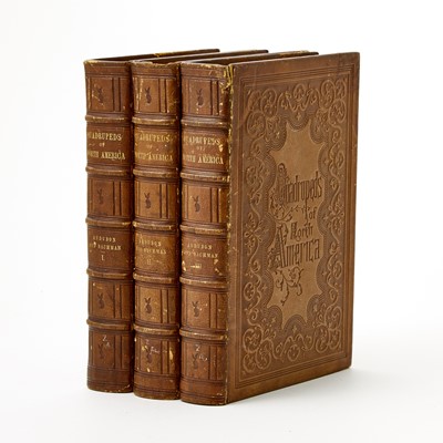 Lot 65 - The Audubon's definitive study of American four-footed wildlife