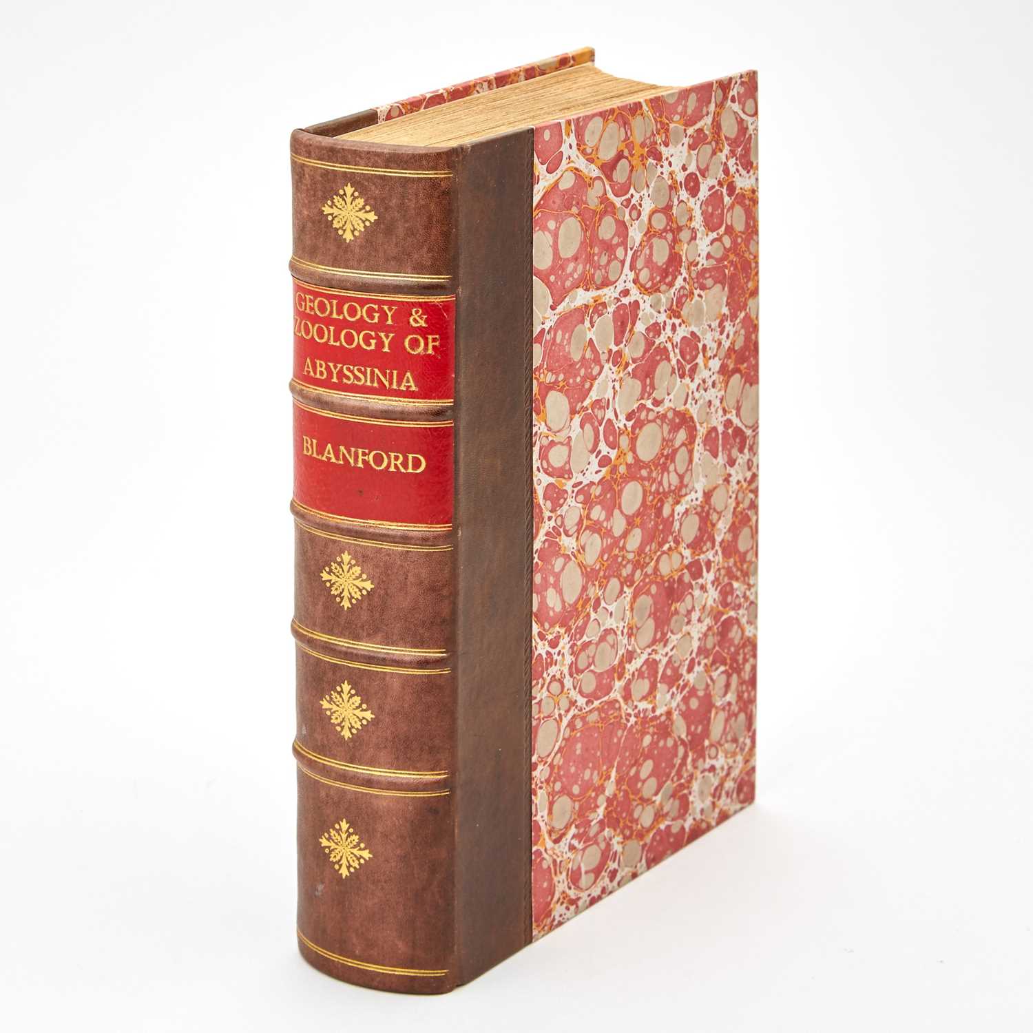 Lot 74 - Blanford on the Geology and Zoology of Abyssinia