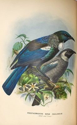Lot 75 - The Birds of New Zealand counted Charles Darwin among its subscribers