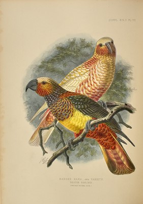 Lot 76 - The expanded second edition of Buller's fine work on the birds of New Zealand