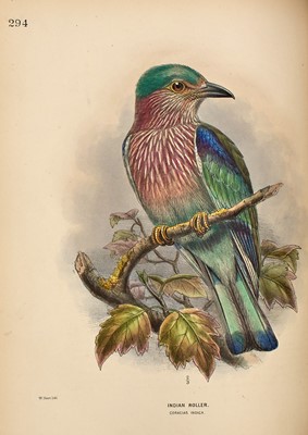 Lot 78 - An attractive set of Dresser's monumental History of the Birds of Europe