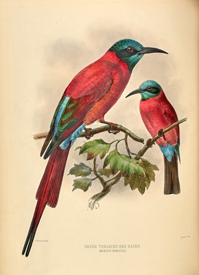 Lot 79 - Dresser's monograph of the Bee-eaters, with fine plates by Keulemans