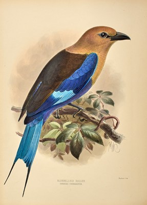 Lot 80 - Dresser's beautifully illustrated work on the rollers