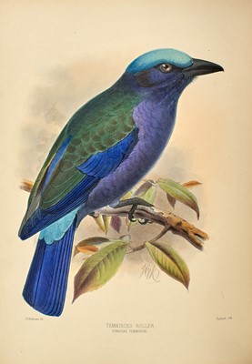 Lot 80 - Dresser's beautifully illustrated work on the rollers