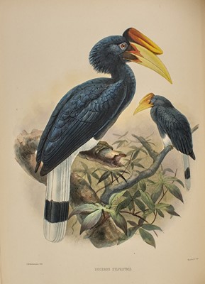 Lot 81 - Elliot's magnificent monograph of the Hornbills