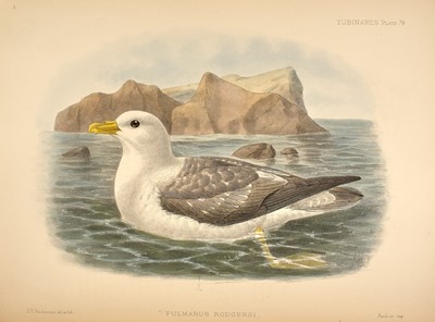 Lot 82 - Godman's Monograph of the Petrels, nicely bound
