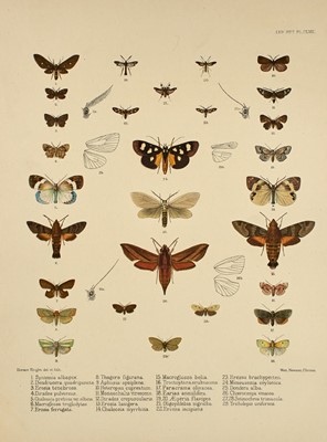 Lot 175 - With color plates of butterflies