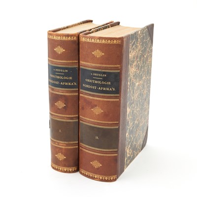 Lot 86 - Fine plates of the African birds