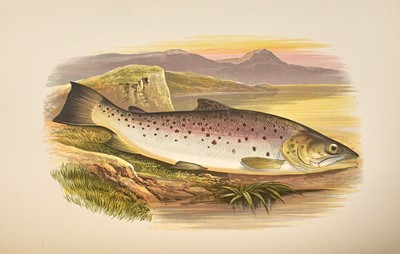 Lot 87 - With fine chromoxylographed plates