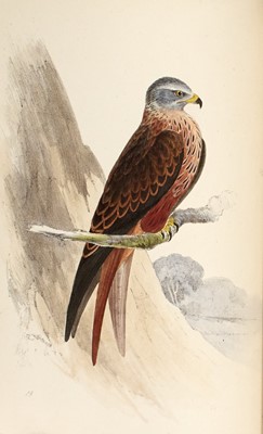 Lot 181 - The definitive work on British birds and their eggs, nicely bound