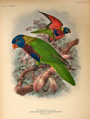 Lot 92 - Keulemans' Parrots are considered his finest work