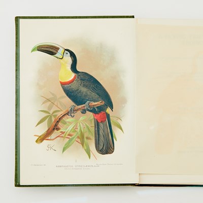 Lot 182 - Robinson's A Flying Trip to the Tropics