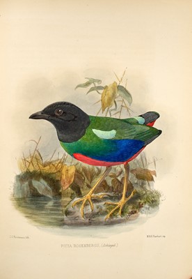 Lot 95 - G. D. Rowley's Ornithological Miscellany, 1876-77
