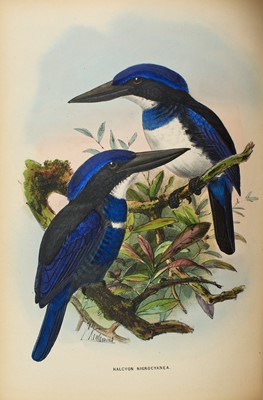 Lot 102 - Sharpe's beautifully illustrated monograph of Kingfishers