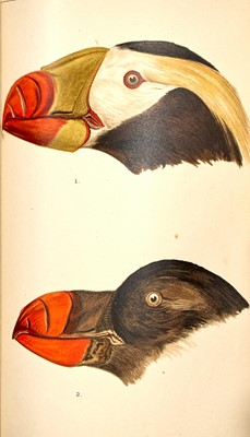 Lot 67 - With plates of birds of Alaska