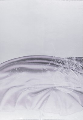 Lot 654 - Petra Cortright