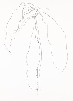 Lot 71 - Ellsworth Kelly (1923-2015)
