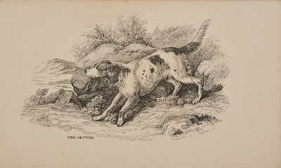 Lot 172 - The Dog and the Sportsman
