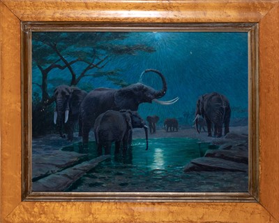 Lot 598 - Arthur Radclyffe Dugmore