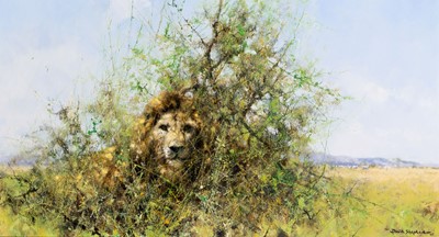 Lot 603 - David (Richard David) Shepherd