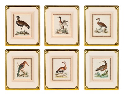 Lot 84 - George Edwards (1694-1773)