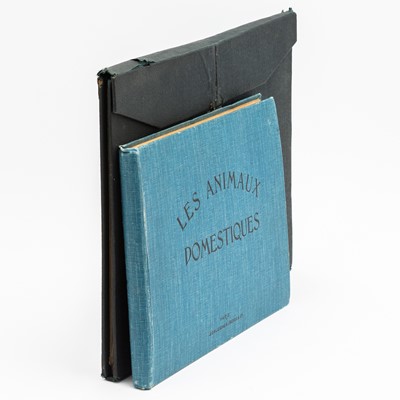 Lot 256 - Two books with moveable flaps