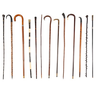 Lot 107 - Thirteen Wooden Walking Canes
