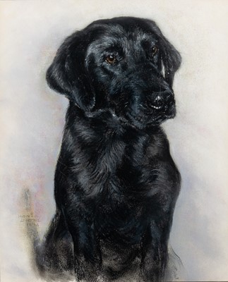 Lot 543 - Honor Diehl