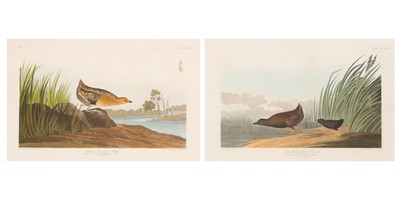 Lot 112 - After John James Audubon (1785-1851)