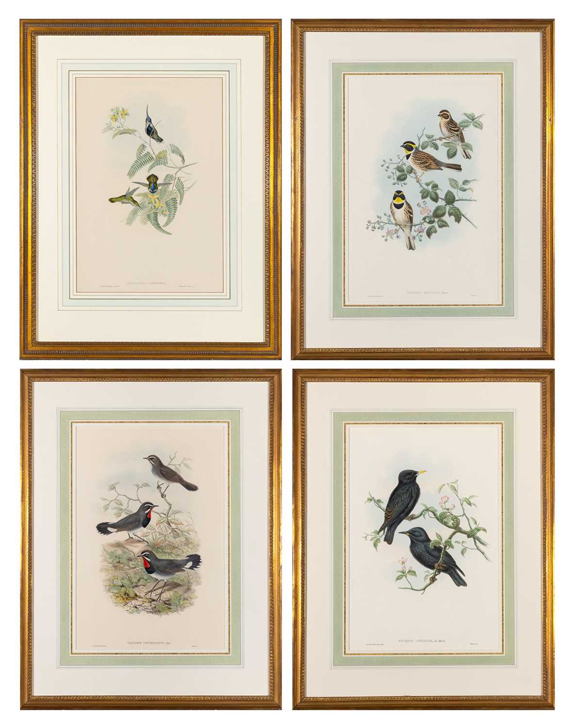 Lot 78 - John Gould (1804-1881), publisher