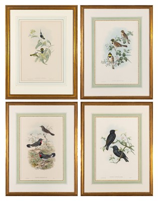 Lot 78 - John Gould (1804-1881), publisher