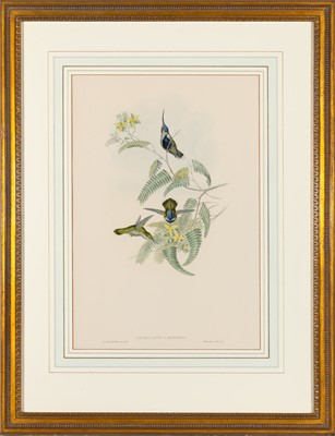 Lot 78 - John Gould (1804-1881), publisher