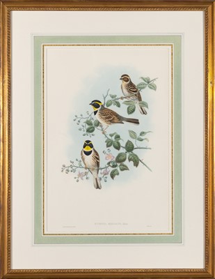 Lot 78 - John Gould (1804-1881), publisher