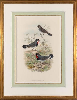 Lot 78 - John Gould (1804-1881), publisher
