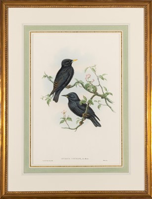 Lot 78 - John Gould (1804-1881), publisher